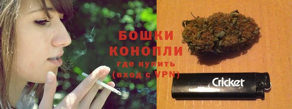 шишки Богданович