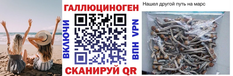 Галлюциногенные грибы Magic Shrooms  Белёв 